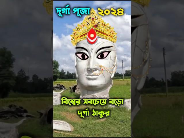 Ranaghat Biggest Durga Puja 2024। #shorts #durgapuja #kolkata #2024