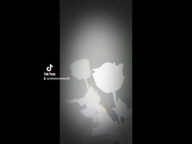 #darkviz #slowjams