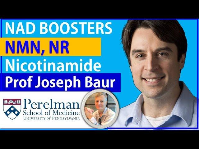 NAD Boosters - NMN, NR & Nicotinamide: The Same? | Professor Joseph Baur Interview Series Episode3