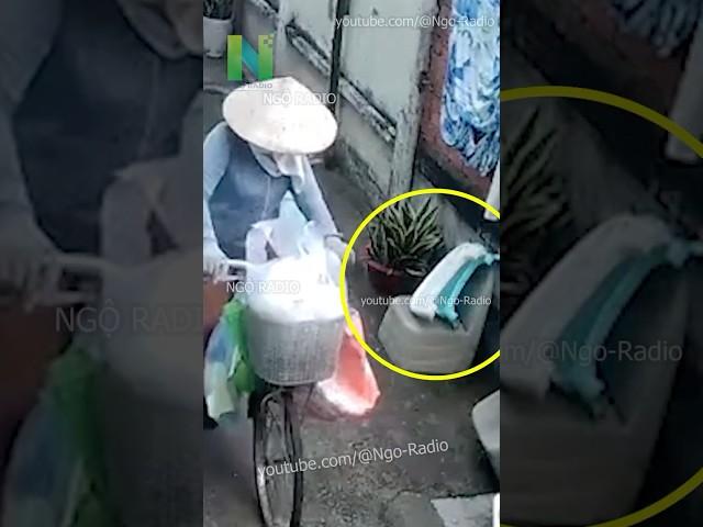 Cứ để ngoài đường là cô nhặt