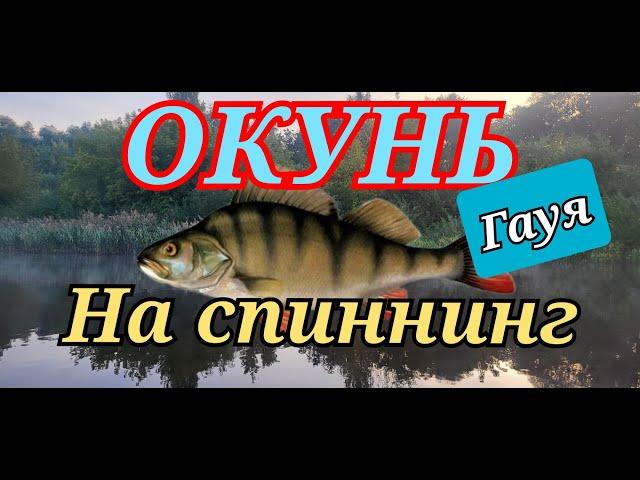 Окунь На Спиннинг. Гауя.