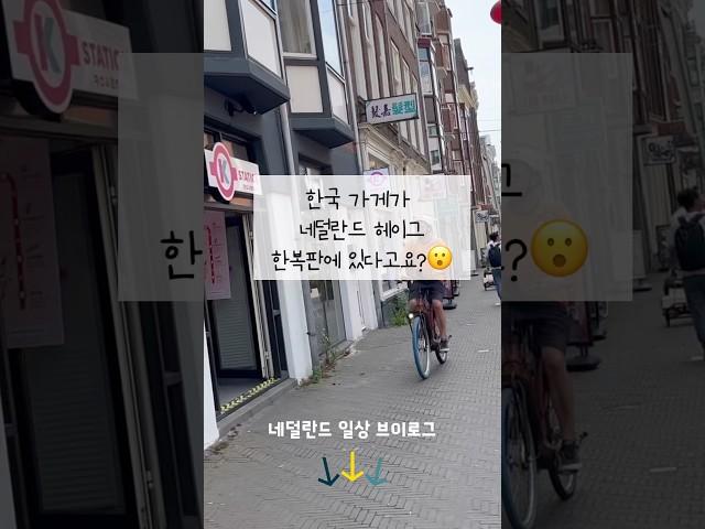 K-문화가 네덜란드까지 점령했다 #헤이그#kstation#kpop#한류#일상브이로그