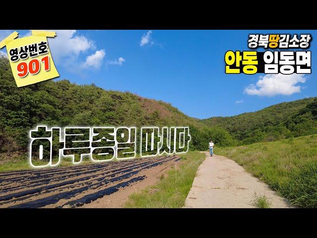 경북땅김소장[매번901번] 싼땅 평당4만원