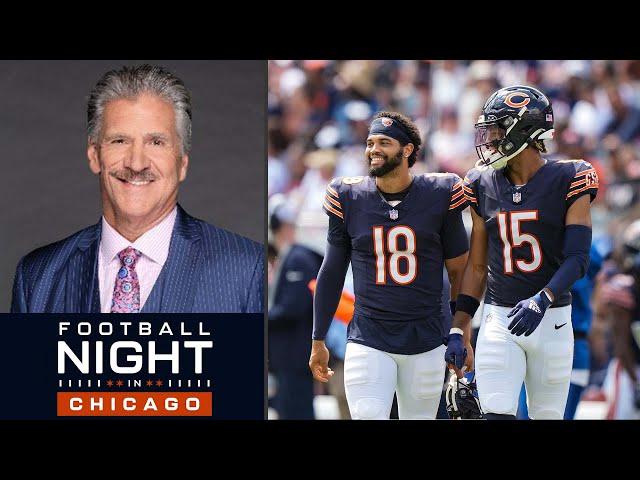 Dave Wannstedt makes his bold predictions, expresses concerns for Bears 2024 season