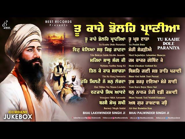 New Shabad Gurbani Kirtan 2024 Jukebox - New Shabad Kirtan - Nonstop Shabad Kirtan - Nonstop Gurbani