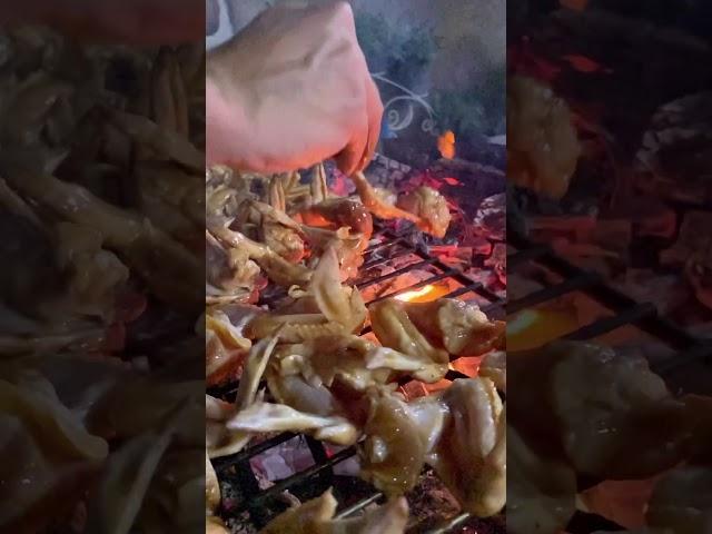 Barbecue _ شواء اجنحة دجاج