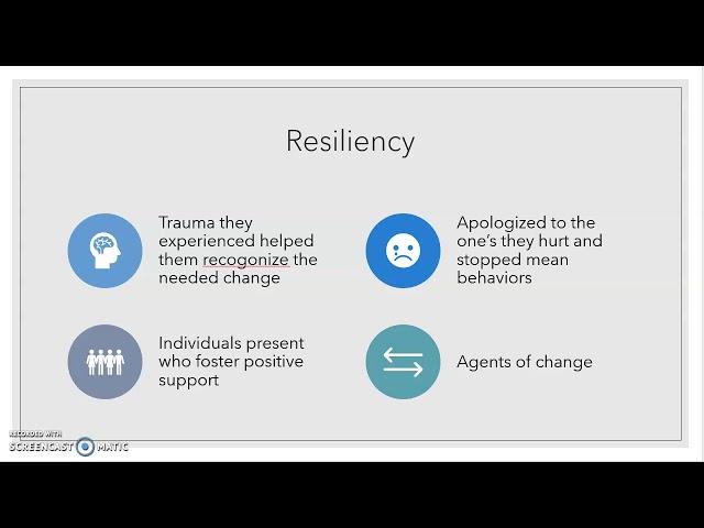 Adolescent Risk and Resilience