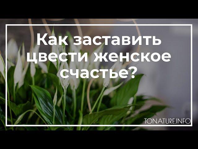 Как заставить цвести женское счастье? | toNature.Info