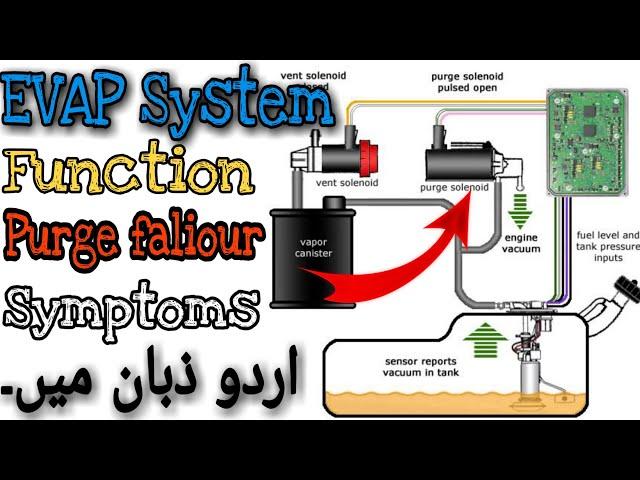 EVAP System|Purge control Faliour|P0443 Fix|The Car Doctor Pakistan