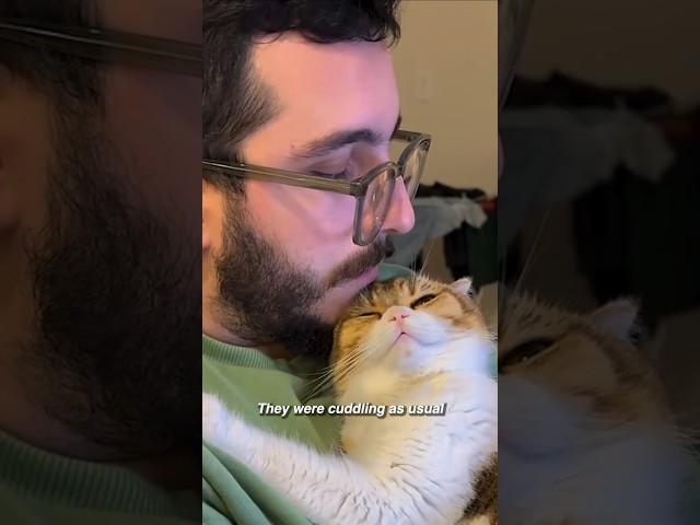 Cat loves dad more than mom  #cats #catlover #catparents #catdad #cutecats