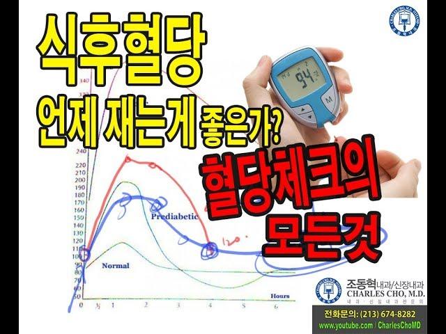 당뇨: 혈당체크의 모든것 (식후혈당 어떻게 재나)