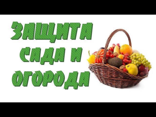 Заговоры на защиту урожая. САД и ОГОРОД.