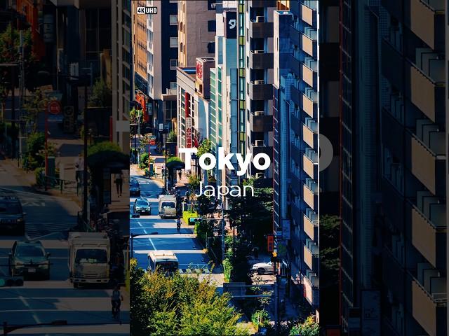 Tokyo: Vibrant Metropolis of Japan #travelspot