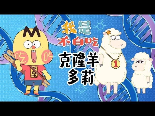 What happened to the world's first cloned sheep, Dolly?丨Mr.foodie #fyp #shorts