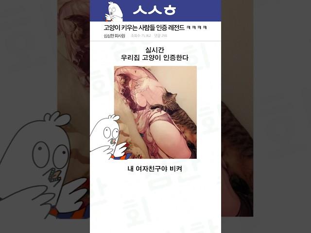 고양이 키우는 사람들 인증 레전드 ㅋㅋㅋㅋ