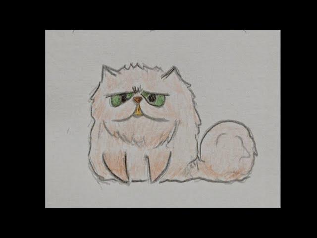 Daily Cat Drawings - (How to draw a Cat) / #cat #cats #drawing