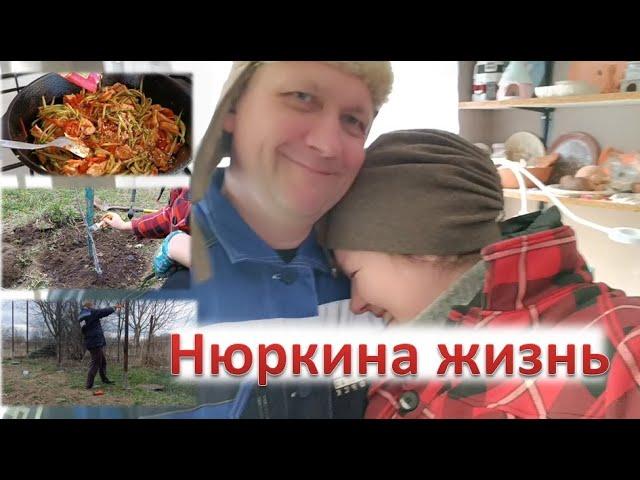Простая жизнь в Кубанской станице // Обработка сада // Установка 3д сетки