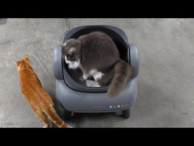 This smart litter box is a Must Have for cat owners! Unboxing and review. @neakasa.tech