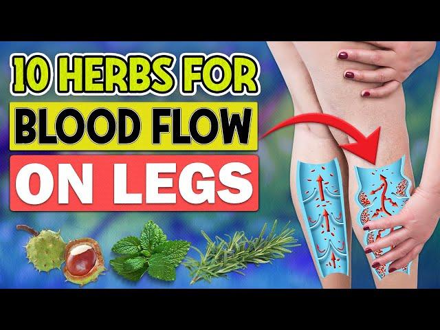 10 Best Herbs to Improve Blood Flow on Legs You Never Heard About