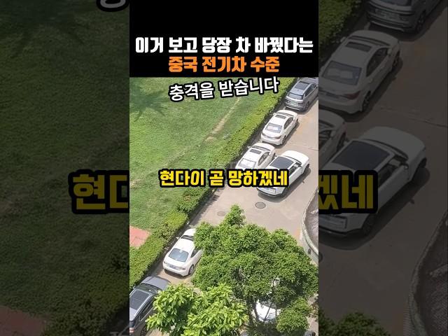 이거 보고 당장 차 바꿨다는 중국 전기차 수준