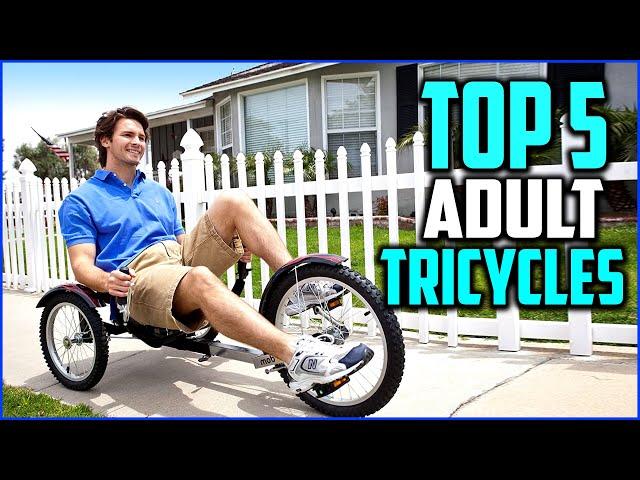 Top 5 Best Adult Tricycles in 2020