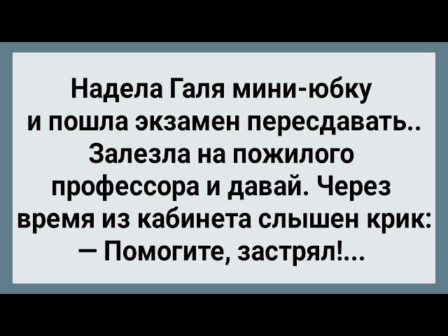 Как Галя Экзамен Пересдавала! Сборник Свежих Анекдотов! Юмор!