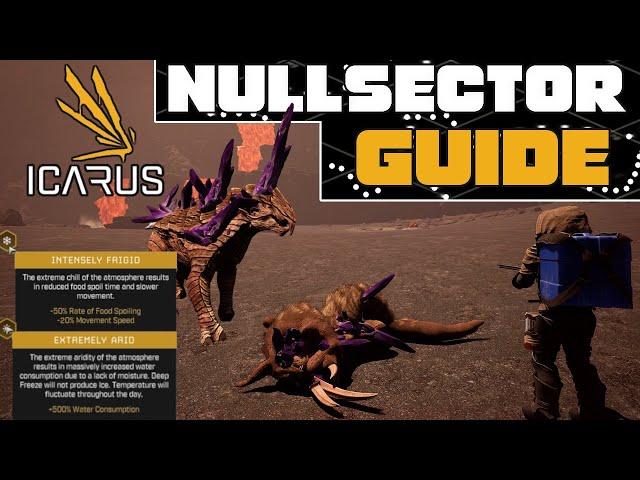 Icarus New Frontiers Null Sector Ashland's Guide - MUST SEE Tips for The NEW Null Zone! (Spoilers)