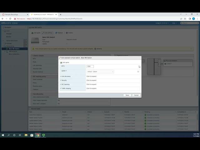 Creating virtual switches and port groups in ESXi