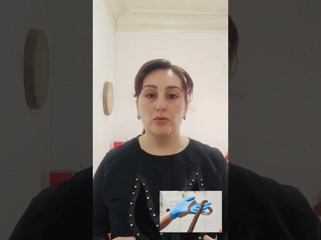 НЕОБЫЧНЫЕ И ОПАСНЫЕ ПРОФЕССИИ ГЕРПЕТОЛОГ, ЗМЕЕЛОВ И ДОИЛЬЩИК ЗМЕЙ #бухара #узбекистан #ташкент