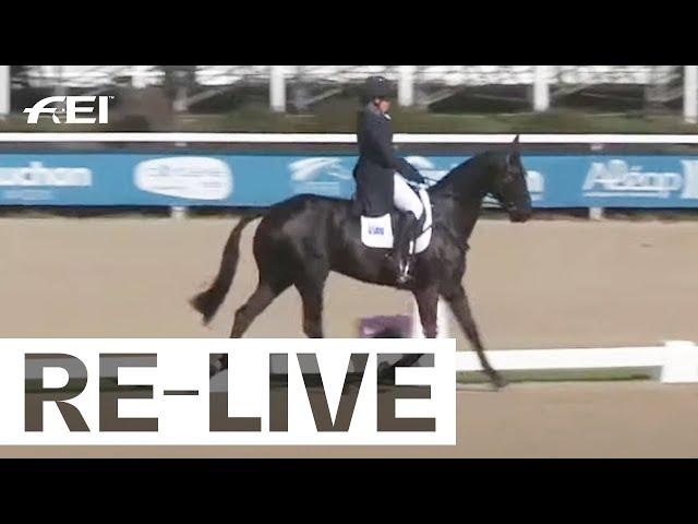 Dressage Day 2 7yo horses I FEI WBFSH Eventing World Breeding Championship for Young Horses 2024