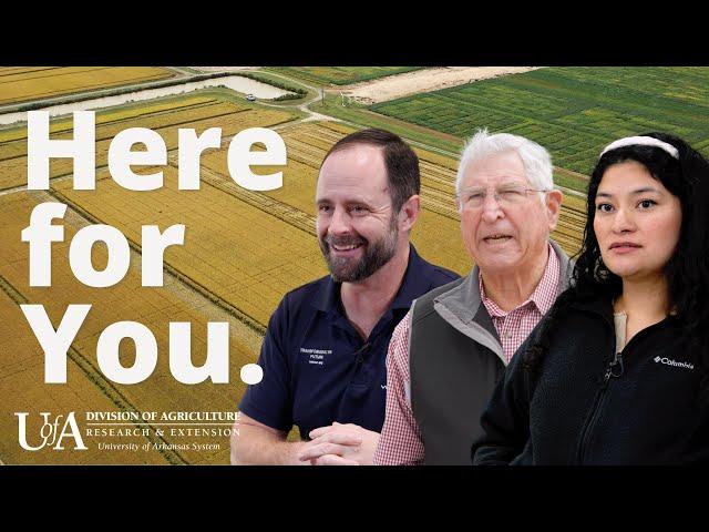 Here for you - U of A System Division of Agriculture