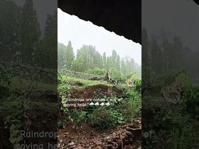 monsoon season 2k25 #nature #shorts #ytshorts #rain #mrbeast #india