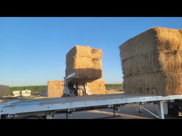 Experienced Hay squeeze operator