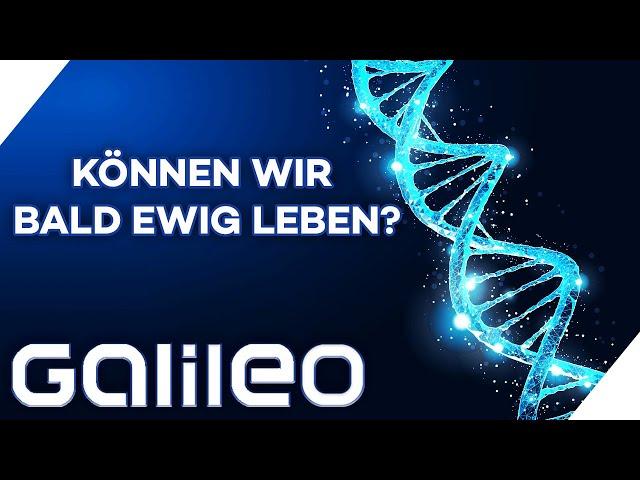 Ewiges Leben - Wunschvorstellung oder bald Realität? | Galileo | ProSieben