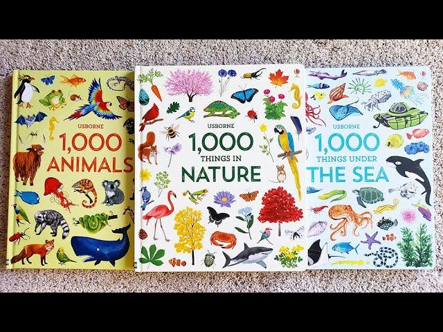 Usborne 1000 Things in Nature, 1000 Animals 1000, Things Under the Sea