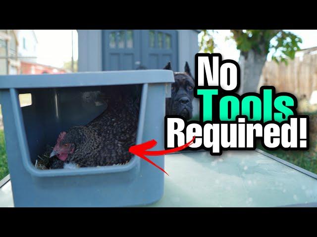 CHEAP And EASY DIY Nesting Box For Chickens! (No Tools Required!)