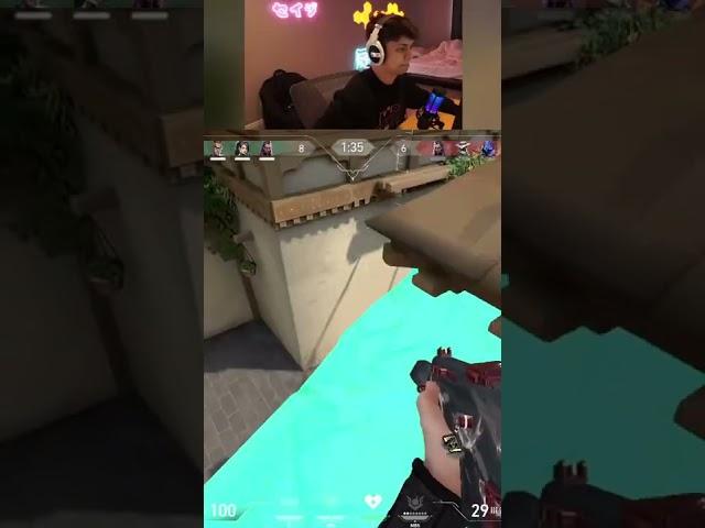 Most OP Wall on Haven
