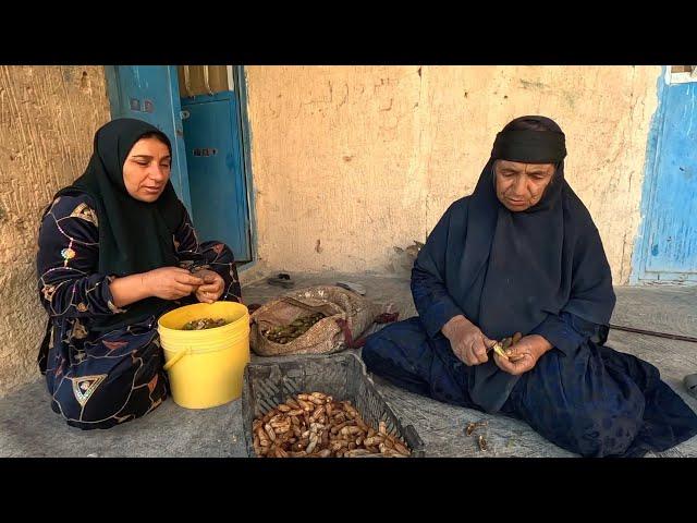 Nomadic life: intimacy and honesty along with lively village life