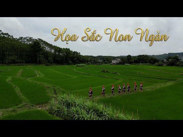 Hoạ sắc non ngàn | SẮC MÀU CÁC DÂN TỘC | VTV5