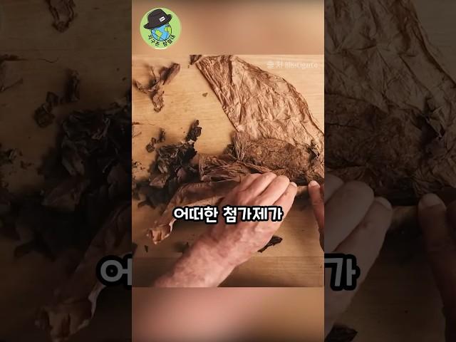 담배 하나로 1시간 동안 핀다고?! #담배 #시가 #쿠바