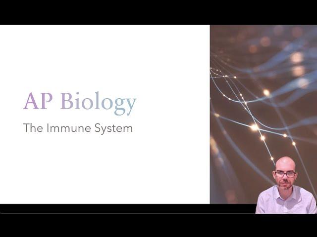 Immune System - AP Biology