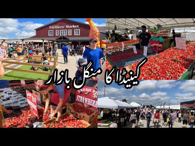 Shopping At Canadian Mangal Bazaar | St Jacob Farmer's Market | Largest Farmer Market In Canada 