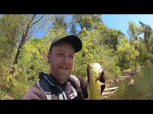 Epic Bass Fishing on the Willamette River in Salem Oregon... #bass #bassfishing #troutfishing