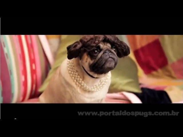 Sony Ericsson Xperia X8 - Comercial de TV - Propaganda com Pug