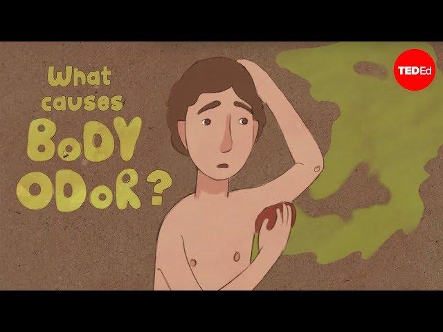 What causes body odor? - Mel Rosenberg