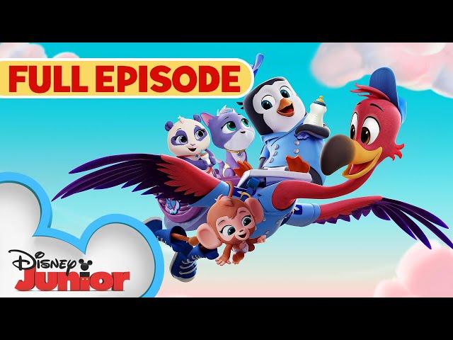 You've Gotta Be Kitten Me /Whale, Hello There  | S1 E1 | Full Episode | T.O.T.S. | @disneyjr