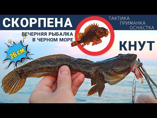 Рыбалка на скорпену. Морской бычок. Бычок-кнут как ловить. Морская рыбалка. Снасть на донную рыбу.