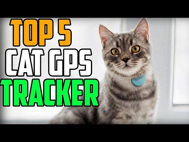 Gps Pet tracket Top 5 Best cat gps tracker 2020