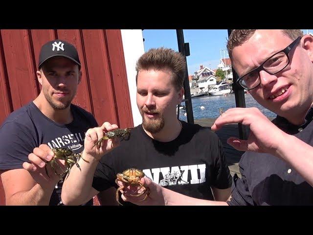 CHALLENGE | STÖRST KRABBA med figgehn & Acai