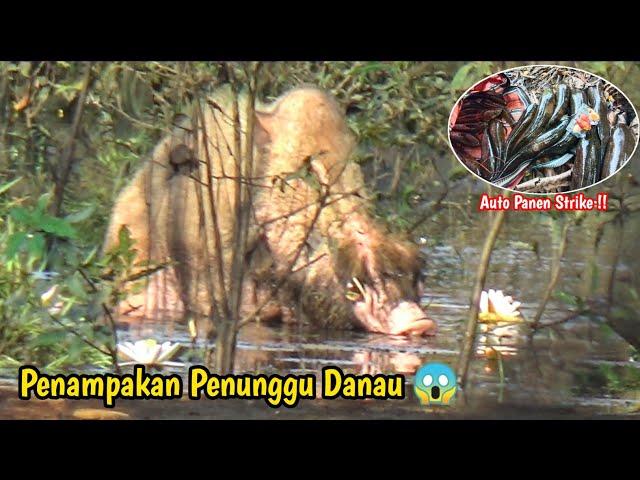 SPOT ANGKER SI PENUNGGU DANAU KELUAR DARI SARANG NYA  LANGSUNG PANEN STRIKE !! Lure Tanpa Nama